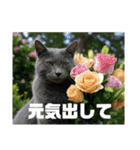 春夏秋冬猫（個別スタンプ：17）
