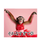 架空のメス猿ちゃん（個別スタンプ：26）