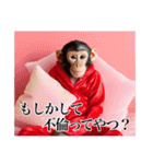 架空のメス猿ちゃん（個別スタンプ：34）