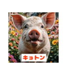 ブタさんの感情スタンプ（個別スタンプ：10）