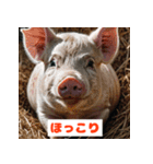 ブタさんの感情スタンプ（個別スタンプ：14）