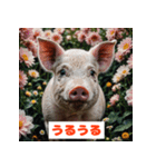 ブタさんの感情スタンプ（個別スタンプ：24）