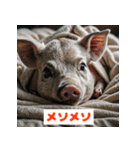 ブタさんの感情スタンプ（個別スタンプ：32）