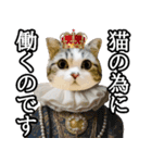 マンチカンのんちゃん実写猫スタンプ第3弾（個別スタンプ：35）