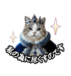 マンチカンのんちゃん実写猫スタンプ第3弾（個別スタンプ：36）
