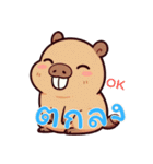 カピバラの生活 (タイ) Ver2（個別スタンプ：23）