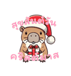 カピバラの生活 (タイ) Ver2（個別スタンプ：26）