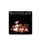 焚き火したい（個別スタンプ：8）