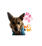 イッヌのチビ（別名ミソ）Cute dog Chibi（個別スタンプ：4）