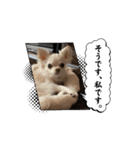 T.S_20250317190703（個別スタンプ：1）