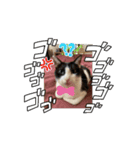 T.S_20250317190703（個別スタンプ：4）