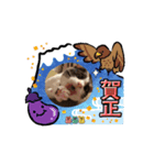 T.S_20250317190703（個別スタンプ：8）