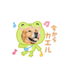 マルくんとお友達（個別スタンプ：2）
