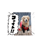 マルくんとお友達（個別スタンプ：3）