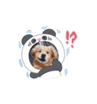 マルくんとお友達（個別スタンプ：6）