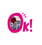 マルくんとお友達（個別スタンプ：7）