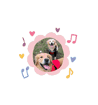 マルくんとお友達（個別スタンプ：15）