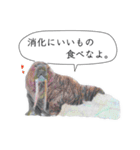 さかなと海のいきものたちからの教え（個別スタンプ：10）