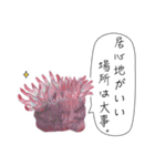 さかなと海のいきものたちからの教え（個別スタンプ：11）