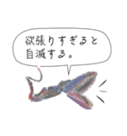 さかなと海のいきものたちからの教え（個別スタンプ：13）