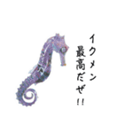 さかなと海のいきものたちからの教え（個別スタンプ：15）