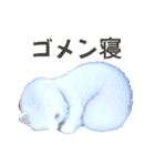 わりと使えるアホなスタンプ（個別スタンプ：13）