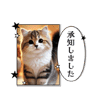 アメリカンボブテイルの日常会話（個別スタンプ：7）