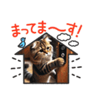 アメリカンボブテイルの日常会話（個別スタンプ：11）