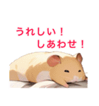 まったりハムスターのあいさつ（個別スタンプ：10）