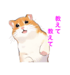 まったりハムスターのあいさつ（個別スタンプ：22）