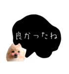 めろめろ♡春♡ポメ推しスタンプ（個別スタンプ：9）