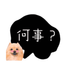 めろめろ♡春♡ポメ推しスタンプ（個別スタンプ：11）