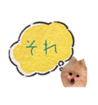 めろめろ♡春♡ポメ推しスタンプ（個別スタンプ：14）