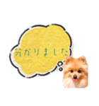 めろめろ♡春♡ポメ推しスタンプ（個別スタンプ：15）