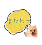 めろめろ♡春♡ポメ推しスタンプ（個別スタンプ：16）