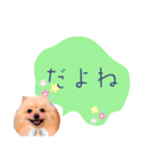 めろめろ♡春♡ポメ推しスタンプ（個別スタンプ：17）