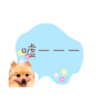 めろめろ♡春♡ポメ推しスタンプ（個別スタンプ：22）