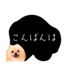 めろめろ♡春♡ポメ推しスタンプ（個別スタンプ：29）