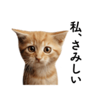 彼氏(夫)を束縛したいメンヘラ子猫ミーム（個別スタンプ：1）