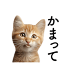 彼氏(夫)を束縛したいメンヘラ子猫ミーム（個別スタンプ：6）