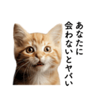 彼氏(夫)を束縛したいメンヘラ子猫ミーム（個別スタンプ：8）