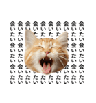彼氏(夫)を束縛したいメンヘラ子猫ミーム（個別スタンプ：10）