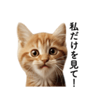 彼氏(夫)を束縛したいメンヘラ子猫ミーム（個別スタンプ：13）