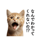 彼氏(夫)を束縛したいメンヘラ子猫ミーム（個別スタンプ：16）