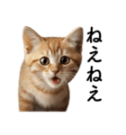 彼氏(夫)を束縛したいメンヘラ子猫ミーム（個別スタンプ：18）