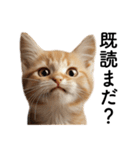 彼氏(夫)を束縛したいメンヘラ子猫ミーム（個別スタンプ：20）