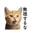 彼氏(夫)を束縛したいメンヘラ子猫ミーム（個別スタンプ：22）