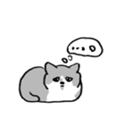 熊熊來襲ʕ •ᴥ•ʔ（個別スタンプ：1）