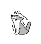 熊熊來襲ʕ •ᴥ•ʔ（個別スタンプ：2）
