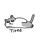 熊熊來襲ʕ •ᴥ•ʔ（個別スタンプ：3）